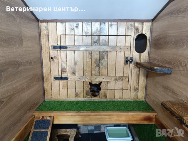 Хотел за котки Уговет , снимка 2 - Ветеринари и услуги - 49763338