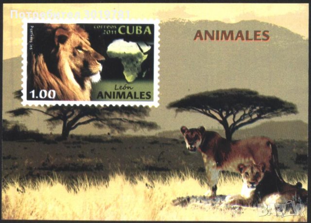 Чист блок Фауна Лъвове 2011 Куба
