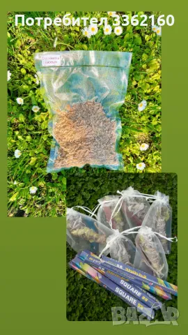 Комплект Чага (Inonotus obliquus)