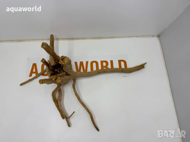 Корен Азалия 8, снимка 2 - Оборудване за аквариуми - 50934882