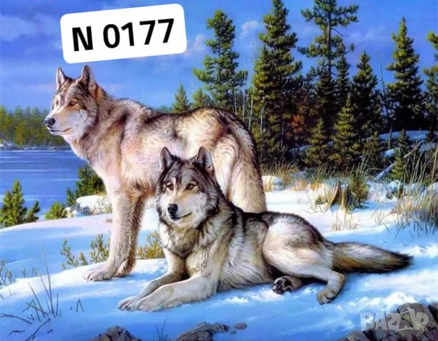 Диамантен Гоблен - наличен комплект за изработка, снимка 1