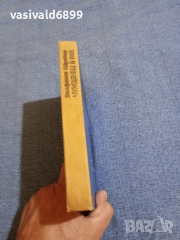 Волфганг Шрайер - Чужденец в рая , снимка 2 - Художествена литература - 51113839