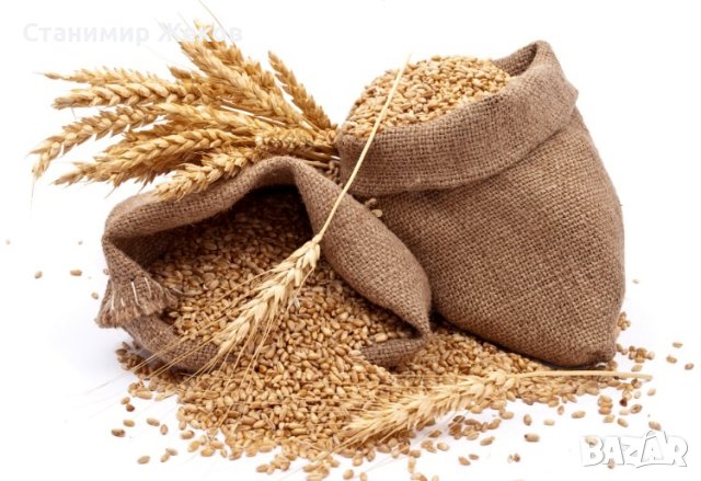 Пълнозърнесто брашно от пшеница, снимка 1 - Домашни продукти - 43545034