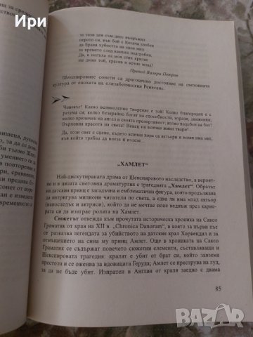 Литература 10. клас, снимка 3 - Учебници, учебни тетрадки - 38243905