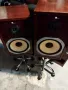 Pure acoustics  тонколони., снимка 2