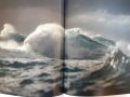 Красотата на морето/океана - Beaute mer, албум на Nat Geo, френски, стотици фотографии,нов,НАМАЛЕН !, снимка 8