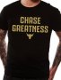 FITNESS! Мъжки тениски CHASE GREATNESS THE ROCK с фитнес принт!, снимка 3