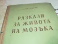 РАЗКАЗИ ЗА ЖИВОТА НА МОЗЪКА 1901251411, снимка 2