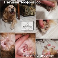 Пътуващ зоофризьор/Travelling groomer, снимка 13 - Ветеринари и услуги - 34449936