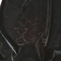 Велурена черна рокля на H&M със змийски мотив, снимка 5 - Рокли - 38053294