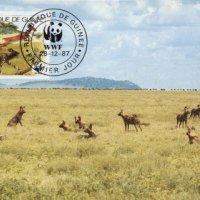 Гвинея 1987 - 4 броя Карти Максимум - WWF, снимка 4 - Филателия - 38843712