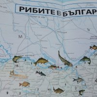 Карта "Рибите в България - къде,кога и как да ловим риба" - 2005 г., снимка 5 - Колекции - 35142262