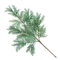 Изкуствено растение Листо лист стрък кипарис, снимка 2 - Декорация за дома - 43807881