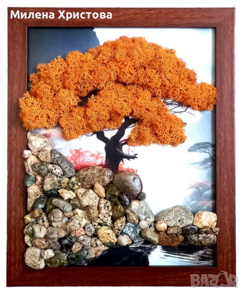 Картина със скандинавски мъх , снимка 1