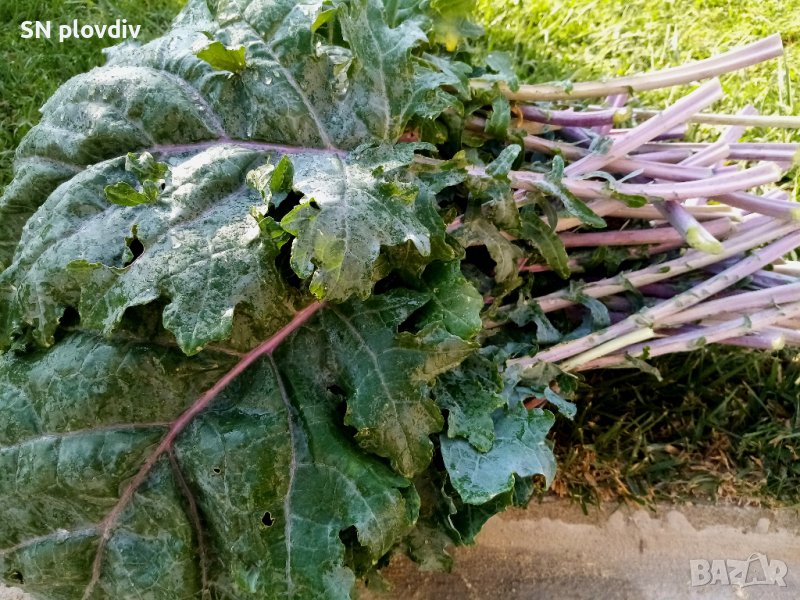 кейл на прах ,30гр., снимка 1