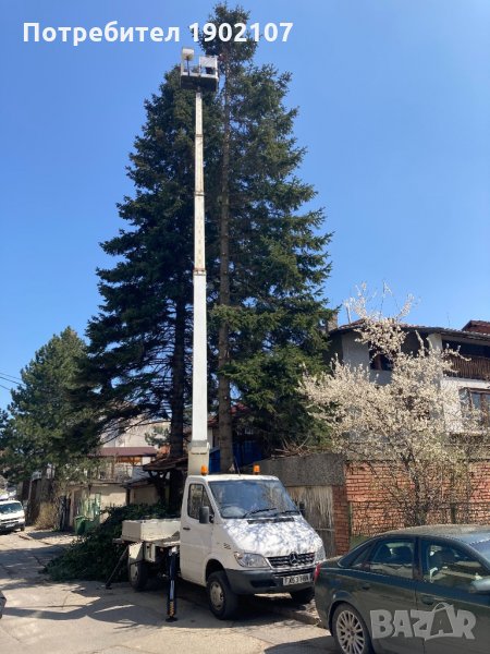 Автовишка под наем.Рязане и кастрене на опасни дървета!, снимка 1