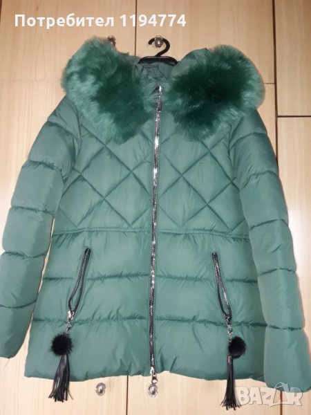 Зимно яке с пух, снимка 1