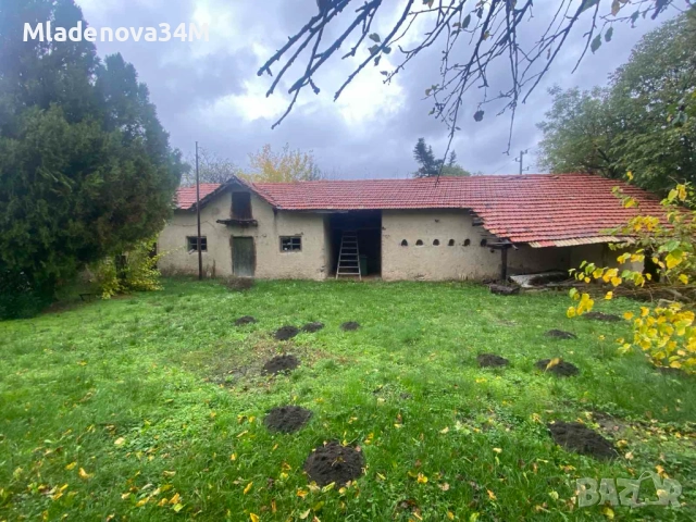 Имот с голям двор, снимка 3 - Къщи - 52255307