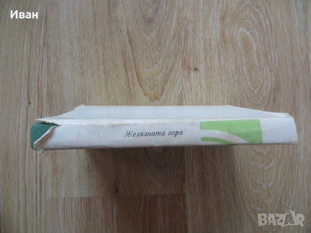 Желязната гора-Николай Хайтов, снимка 4 - Българска литература - 28930668