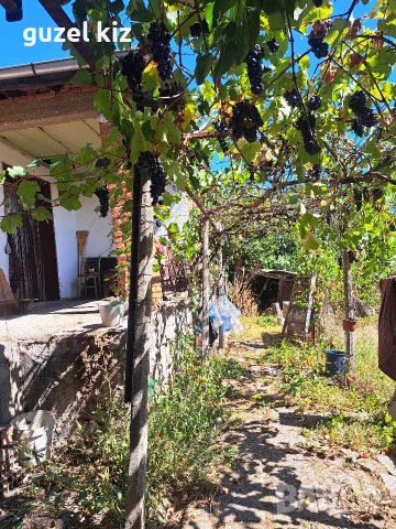 Къща в село Езерово, снимка 17 - Къщи - 52945242