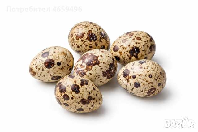 пъдпъдъчи яйца, снимка 2 - други­ - 53438597