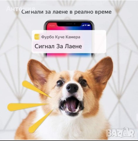 FURBO Камера за кучета , снимка 9 - За кучета - 43439833