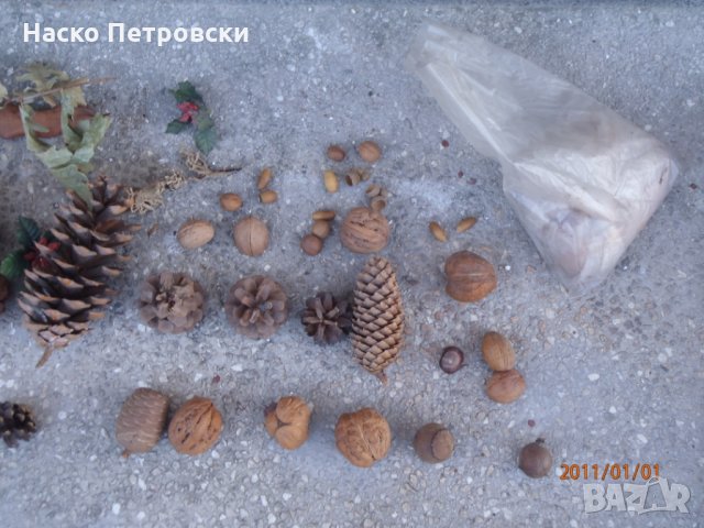 Декоративни шишарки, орехи, жълъди, кестени и САХАРСКИ пясък. в ...