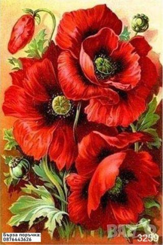 Диaмантен гоблен МАКОВЕ, снимка 1