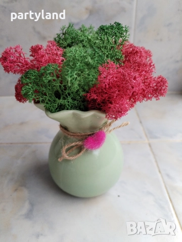 Скандинавски мъх декорация оригинален подарък, снимка 2 - Декорация за дома - 51985982