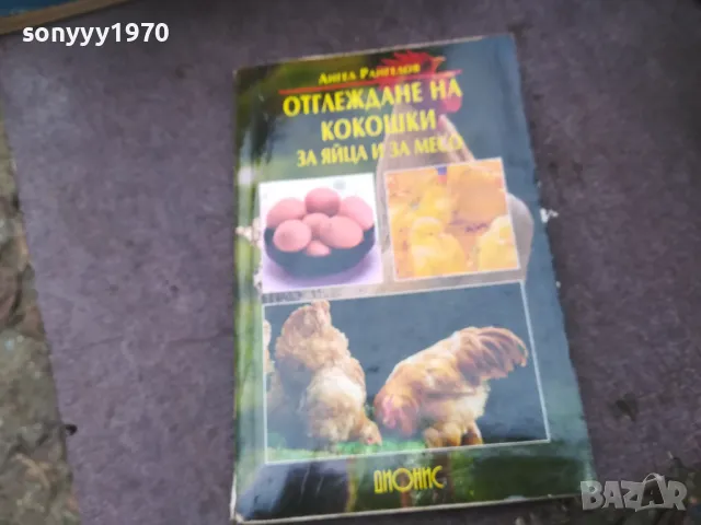 КОКОШКИ 1002250746, снимка 3 - Други - 49049884