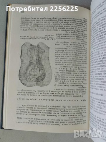 Гинекология, снимка 3 - Специализирана литература - 47490359