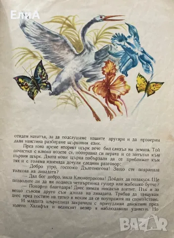 Халифът Щърк - Вилхелм Хауф - Илюстрации От Кремонини, снимка 4 - Художествена литература - 49559951
