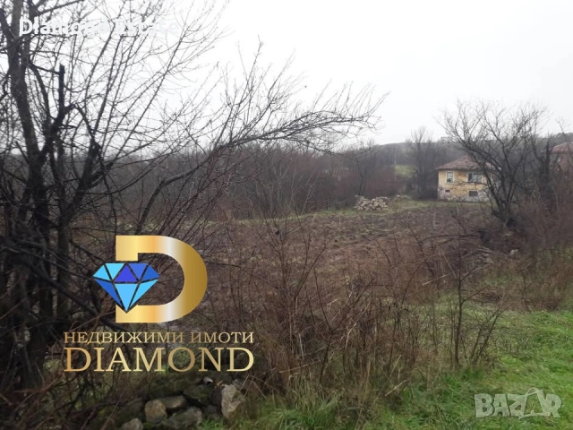 Къща в село Бодрово, обл. Хасково, снимка 5 - Къщи - 48941728