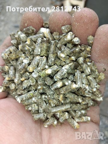 Зайци Цика и гранули за зайци, снимка 4 - Други - 33546540