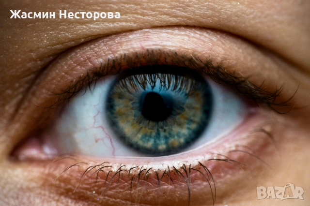 Ирисова фотография с 25% намаление - 3 ириса, 60x42 см снимки, Пловдив