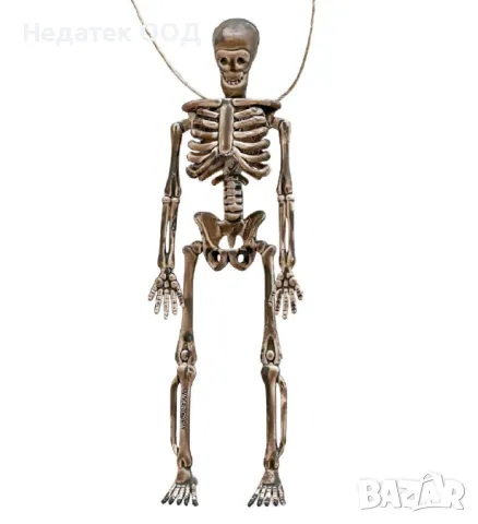 Гирлянд за Хелоуин с висящи реалистични скелети - 4 бр., снимка 2 - Други - 47587518