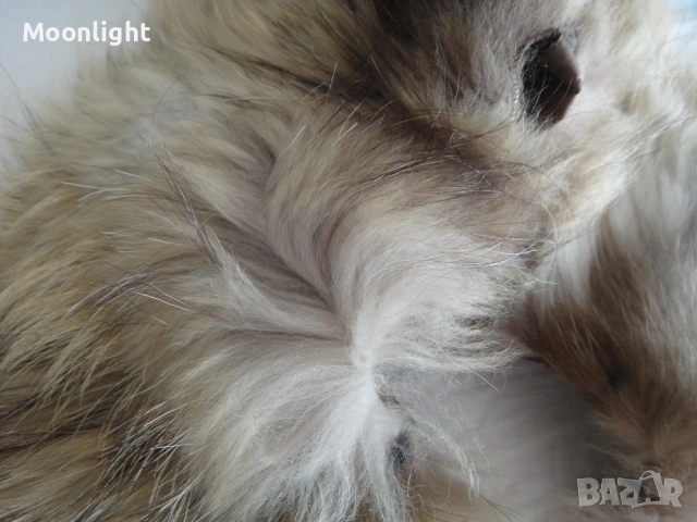 Нова италианска широка яка от лисица естествен косъм, снимка 3 - Шалове - 53140880