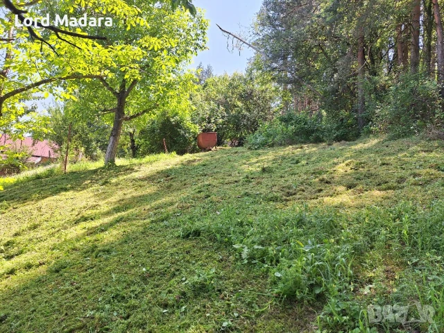 Косене и рязане на дърва за Кюстендил и селата, снимка 2 - Други почистващи услуги - 50756903