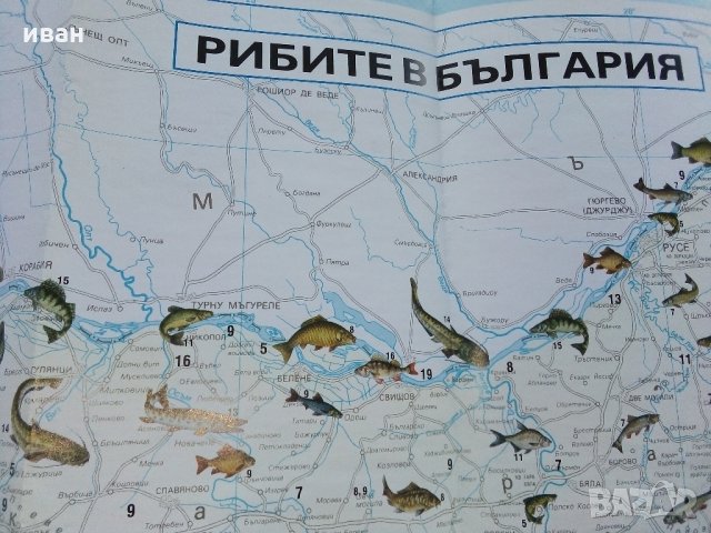 Карта "Рибите в България - къде,кога и как да ловим риба" - 2005 г., снимка 5 - Колекции - 35142262