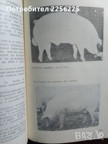 Животновъдството в САЩ, снимка 7 - Специализирана литература - 48096037