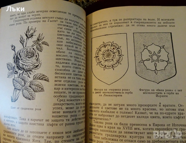 Занимателна ботаника,А.В.Цингер. , снимка 3 - Други - 53204134