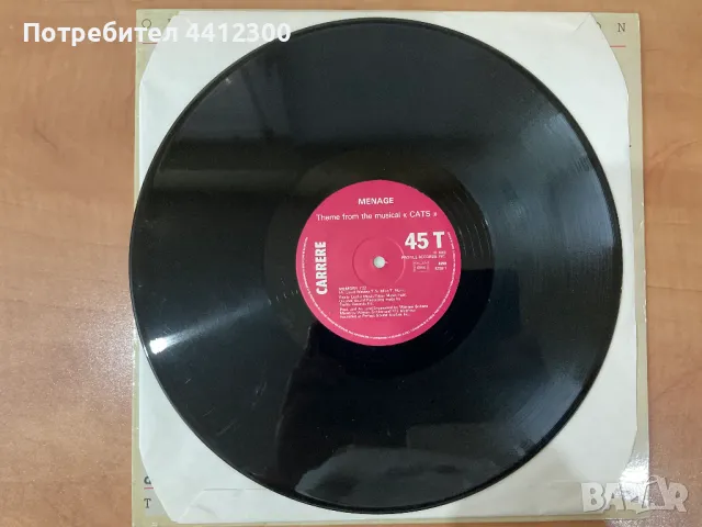 Грамофонна плоча 12”, снимка 3 - Грамофонни плочи - 50074980