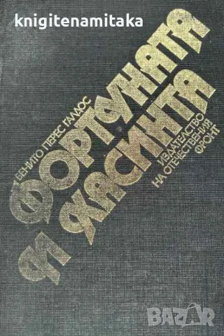 Фортуната и Хасинта - Бенито Перес Галдос, снимка 1