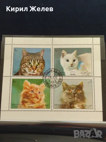 Пощенски марки ЖИВОТНИ КОТКИ перфектно състояние за КОЛЕКЦИОНЕРИ 46692, снимка 6 - Филателия - 47490714