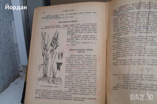 Книга ''Растениевъдство'', снимка 5 - Специализирана литература - 43241178