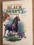 Black Beauty -Anna Sewell