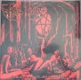 Нов Vinyl (Anal Vomit - Demoniac Flagellations), снимка 1