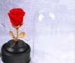 Роза която дълго се запазва , снимка 2