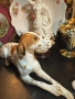Lomonosov USSR Circa  1950 porcelain English Pointer dog - изящен и огромен сетер, снимка 10