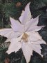 Коледна звезда декорация за елха White Christmas, снимка 1 - Декорация за дома - 42976496